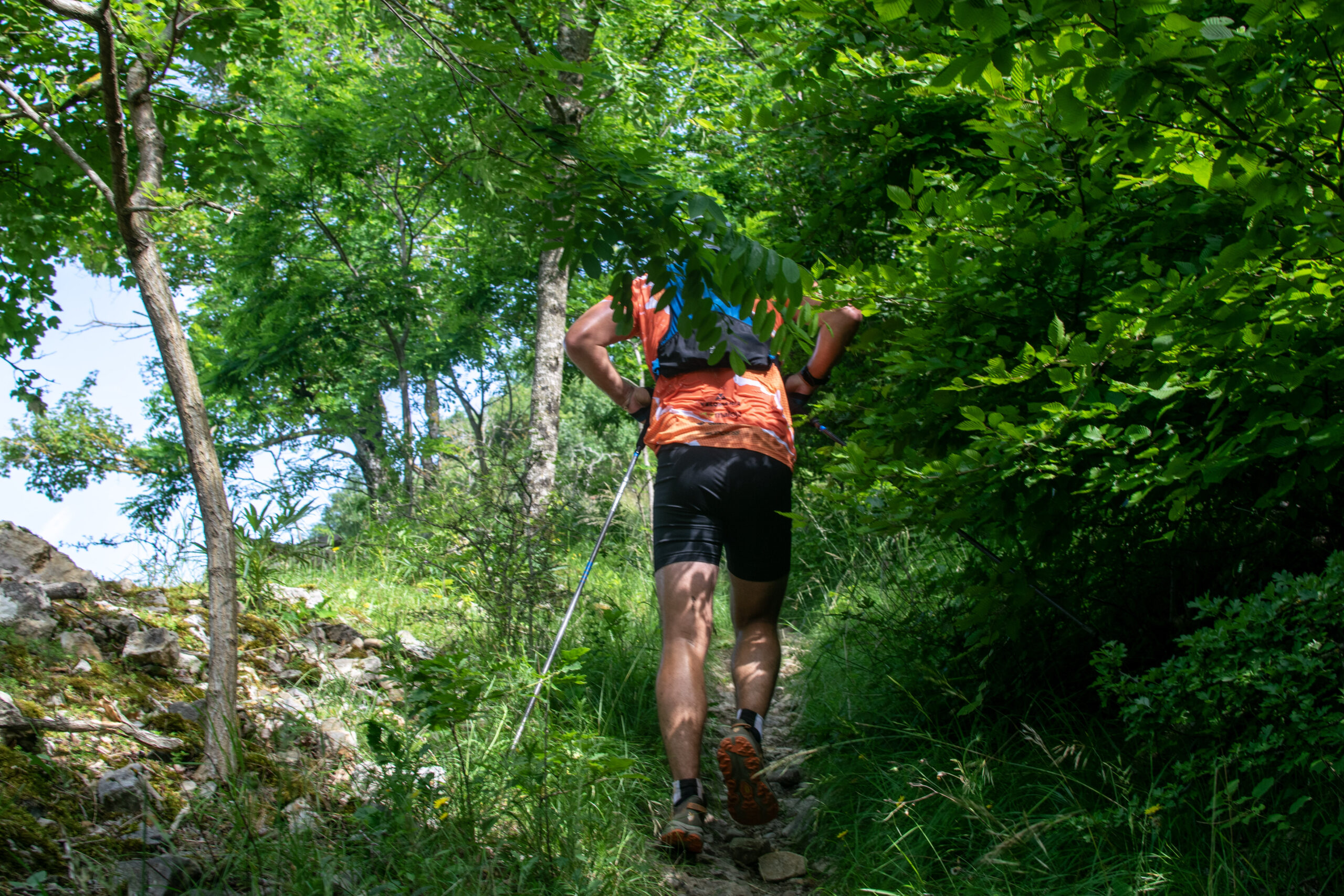 Promoteur des activités écoresponsables