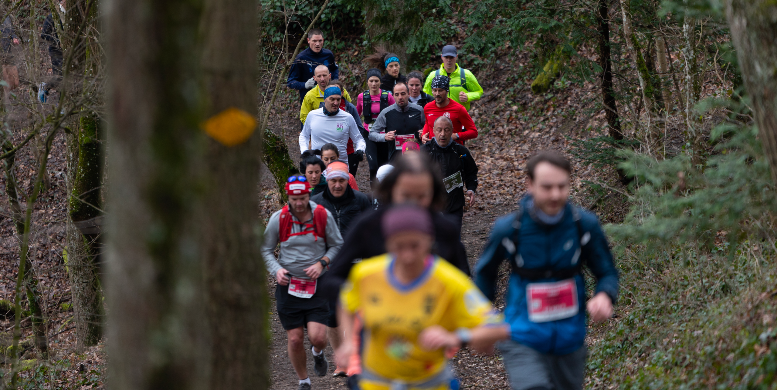 Garant du patrimoine running genevois